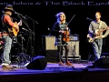 12 Ethan Johns & The Black Eyed Dogs (1)